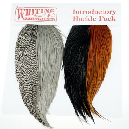 Whiting Introductory Hackle Pack Four 1/2 Capes kapka szyjna